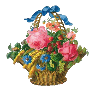 Mon panier ...